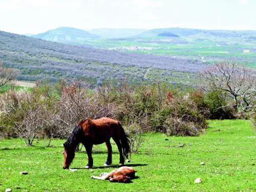 Hotel Rural Teodosio de Goñi