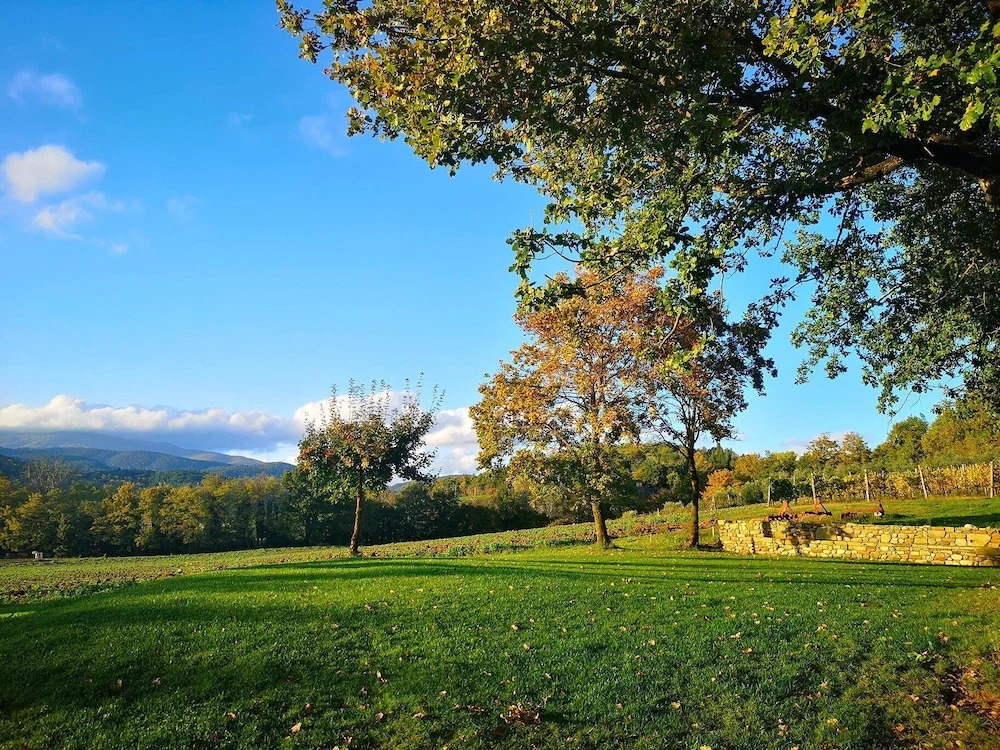 Palazzolo Resort - Anghiari