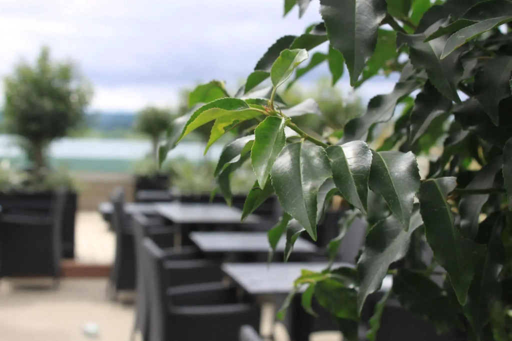 Loughrea Hotel & Spa