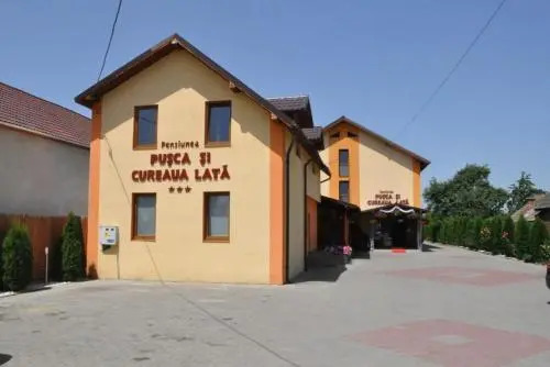 Pusca Si Cureaua Lata
