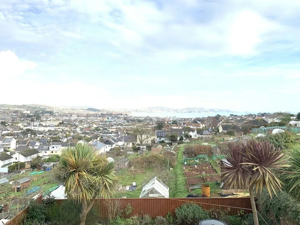 Paignton View