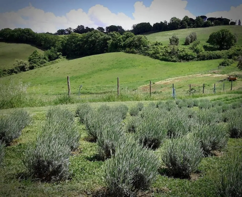 La Macina