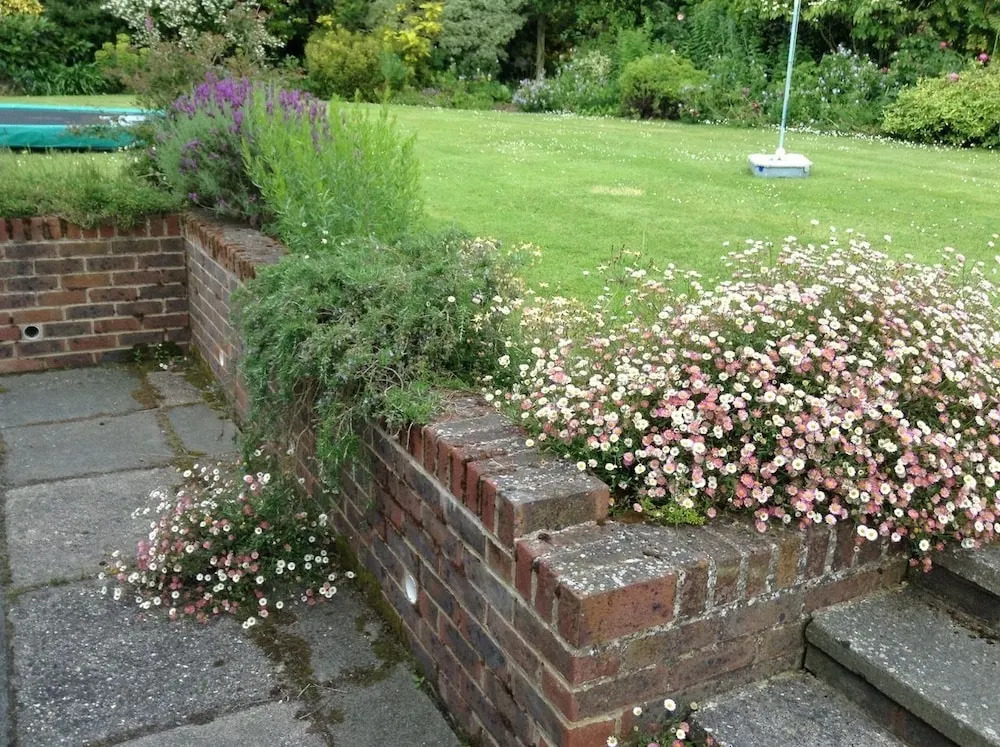 Courtlands Nurseries B&B