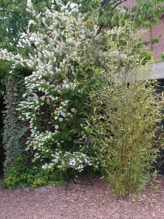 Gîte le Jardin