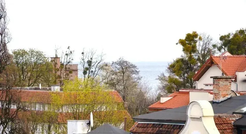 Vic Apartament Welkin