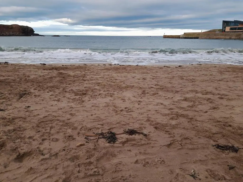 Charming Eyemouth 1-bed Apt, Sleeps 2 Near Beach