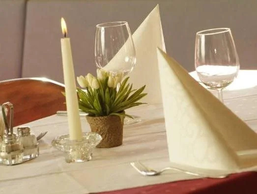 Hotel Alpina Regina