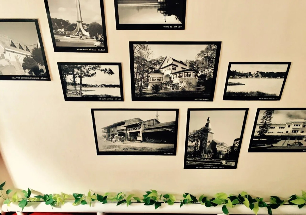 Ruby Dalat Hostel
