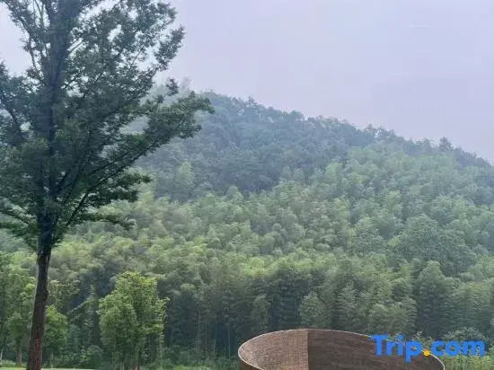 Zhongda Langyuan  Apartment