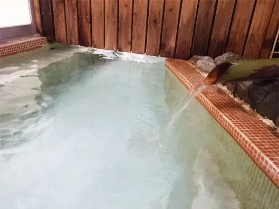 Reisenji Onsen Nakaya Ryokan
