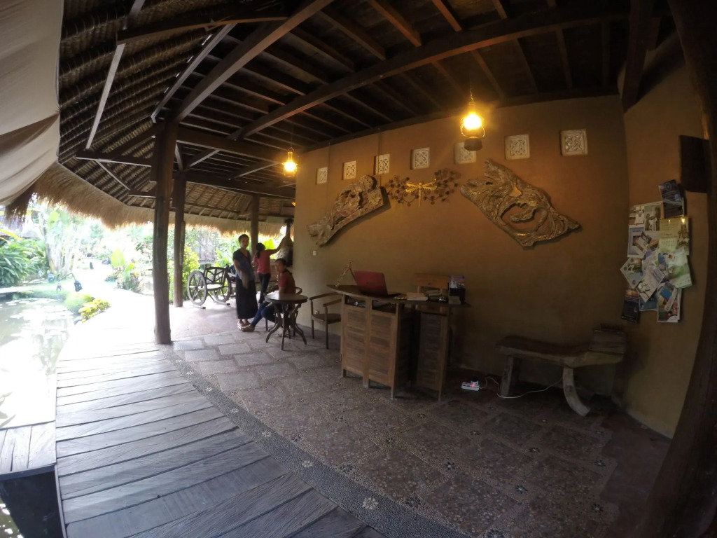 Dragonfly Village