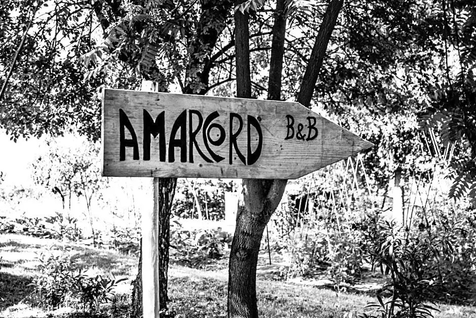 Amarcord