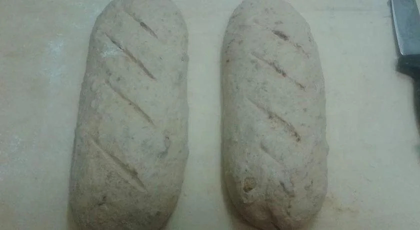 Ginepro d'Abruzzo