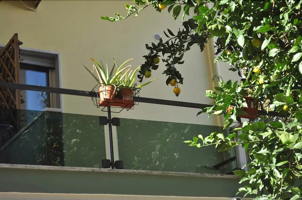 Green House