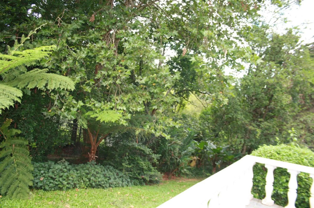 A Garden Suite B&B