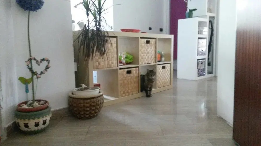 Bed & Breakfast My Home - Alassio