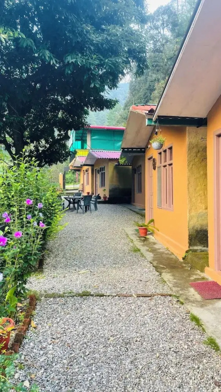 Hostel Abodes Trees Of Heaven