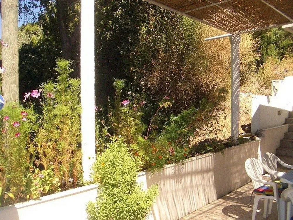Apartment Dario