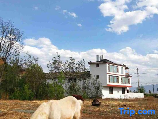 Shuyunju Healing homestay