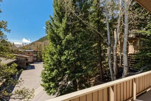 Aspen Alps Apartment #209