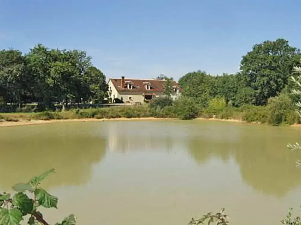 Les Aulnaies - B&B