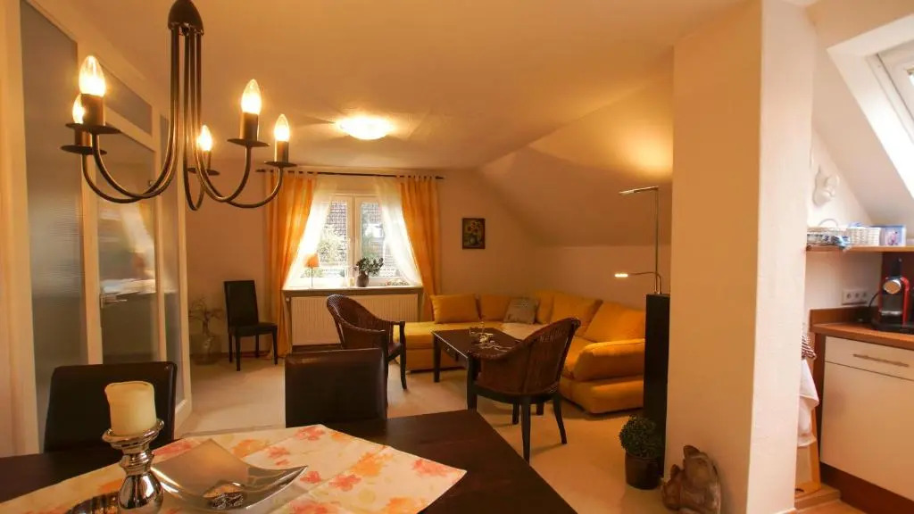 Haus Wexler 5 - OG