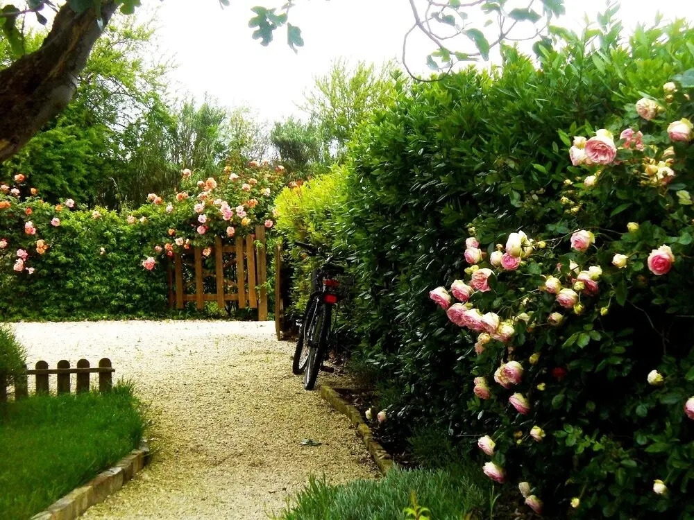 Corner Garden B&B