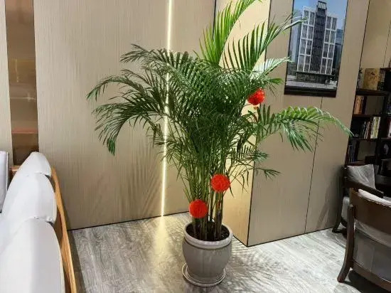 Chuangsheng No.1 Serviced Apartment