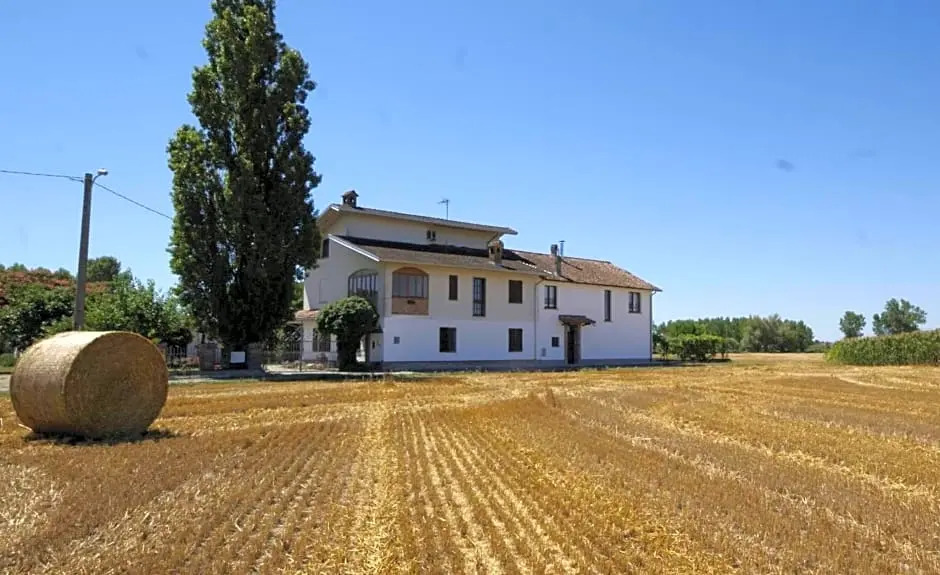 Antico Pioppo