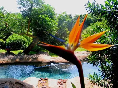 Palm Cottage Bed  Breakfast