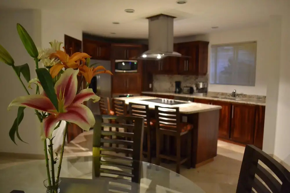 Spectacular Penthouse Oceanview 1bdr | Outdoor Pool, Prme Location 1 Bedroom Apts