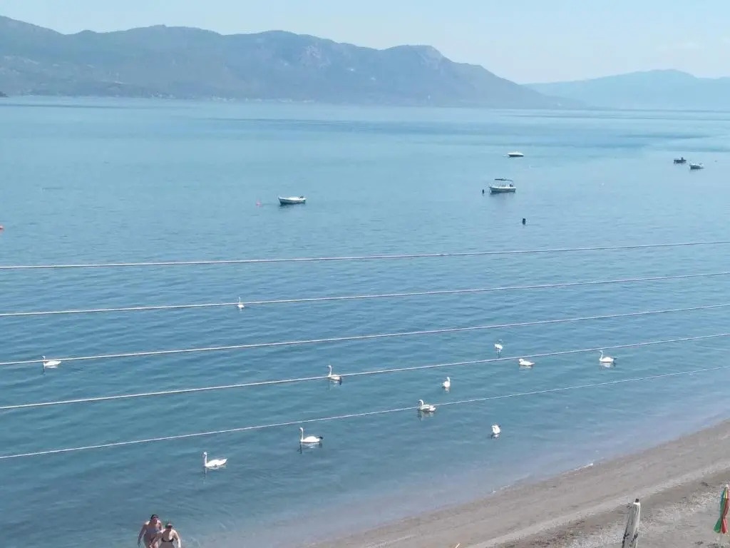 Mare e Monti1
