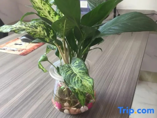 Seven Orange Hotel Shenzhen (Tianan Yungu Huawei Base Store)