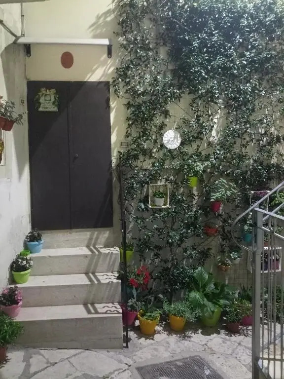 Le Camelie Bed And Breakfast