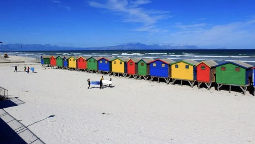 Cape Nomads