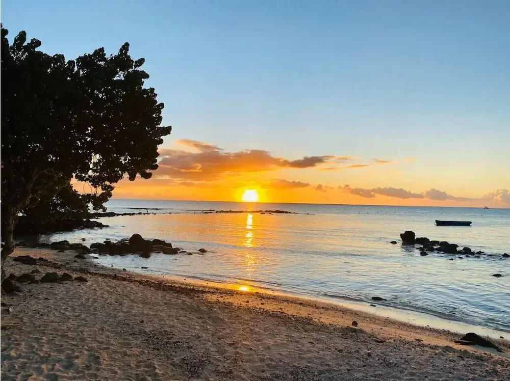Grand Bay Heights C8