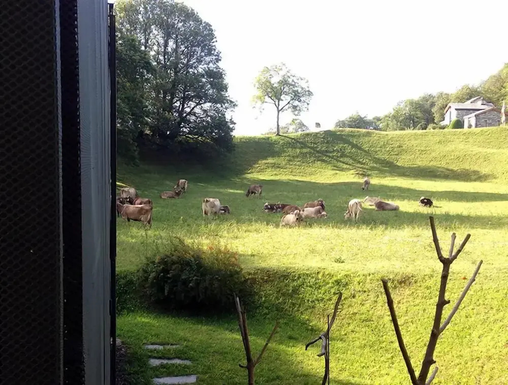 Arosio Open Space