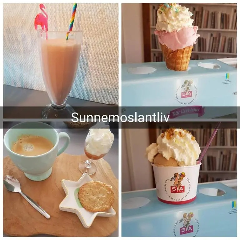 B&B Sunnemoslantliv