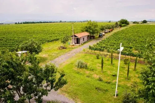 Shaloshvili's Cellar Hotel