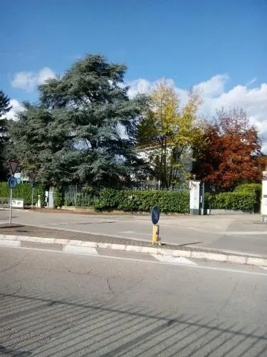 Villa Osmanthus