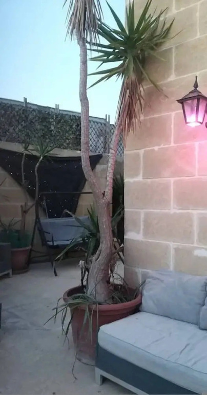 Tal Jordan Complex