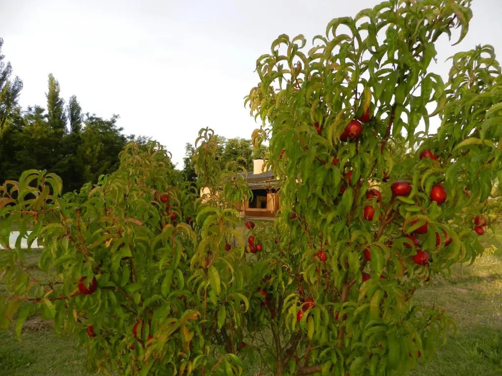 Posada La Victoria