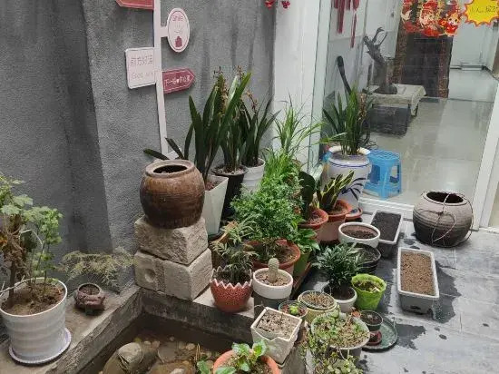 Luoyang Qingqing Yuanshe Homestay (Lijingmen Cross Street Store)