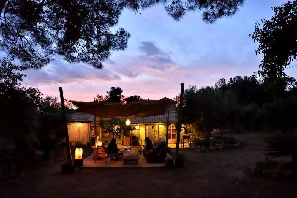 Cocoon Tent in an Olive Grove