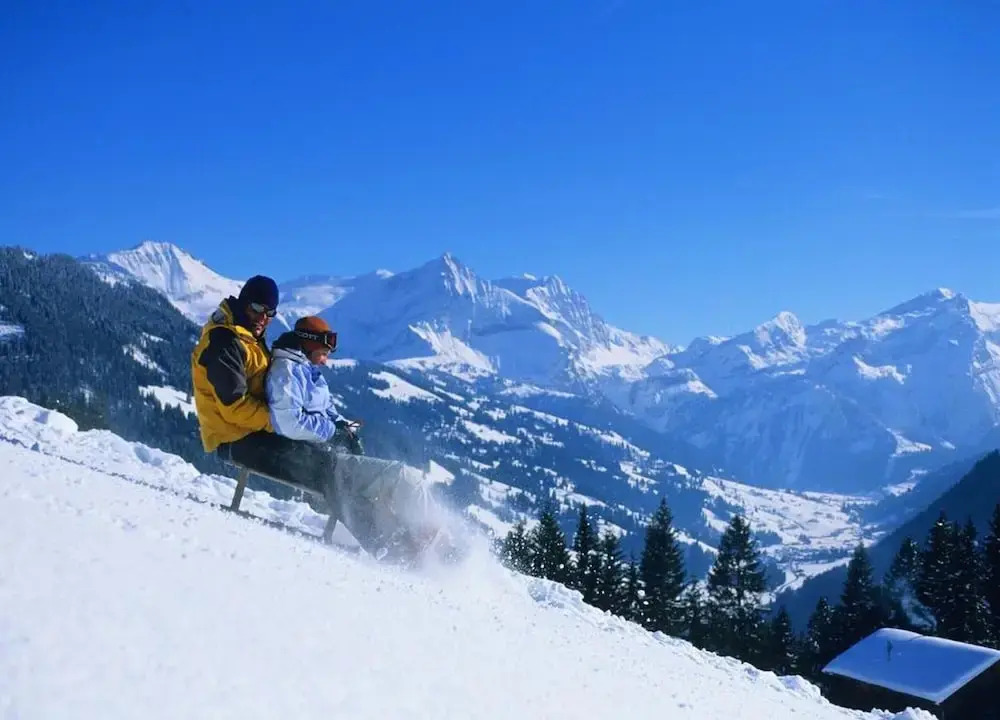 Contemporary Swiss Escape