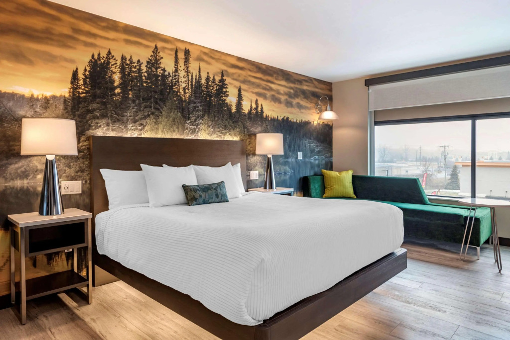 Отель Cambria Hotel Shelby Township - Detroit Utica