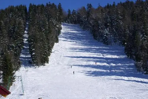 База отдыха Камянка
