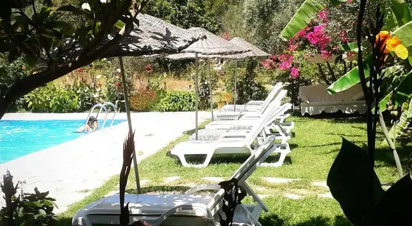 Doga Pension