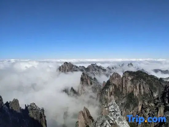 Huangshan Yaopan Shan Shu Homestay