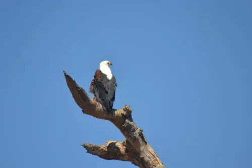 Thuhlo Lodge